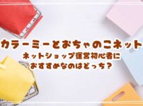 カラーミーとおちゃのこネットを徹底比較！ネットショップ運営初心者におすすめなのはどっち？