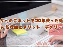 おちゃのこネットを20年使った感想　選んだ理由とメリット・デメリットを正直レビュー